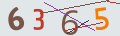 verifycode